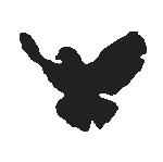 Ein DFG-VK Logo